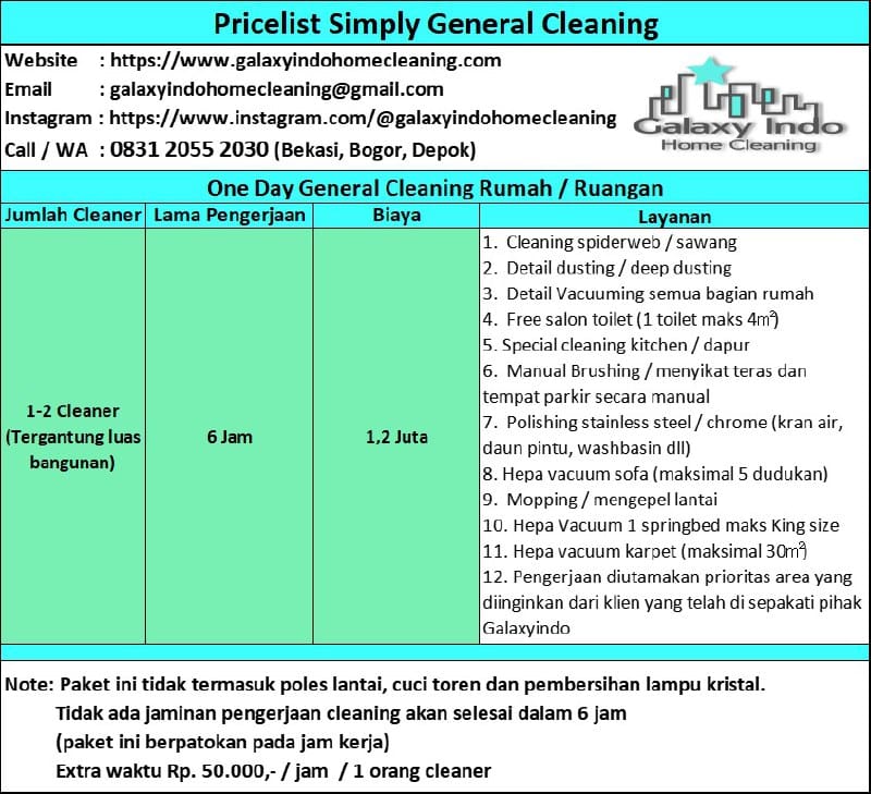 one day general cleaning